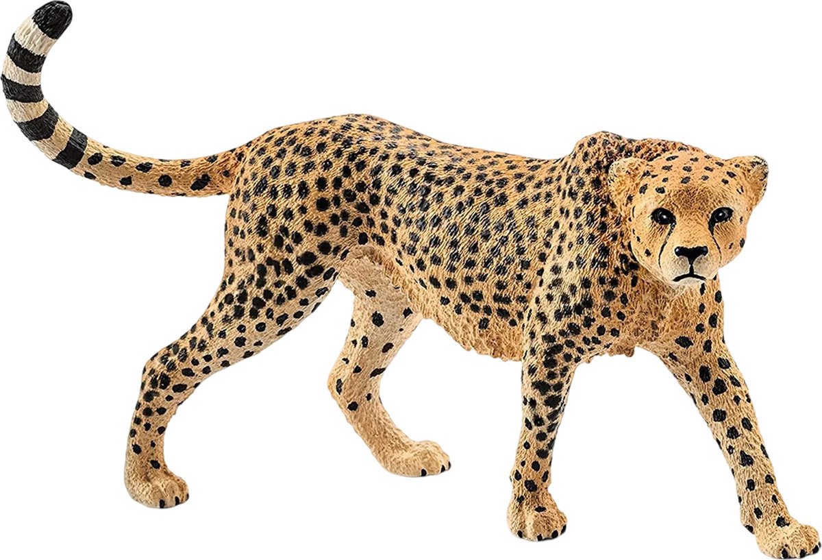 Schleich 17056 | Wild Life | Cheeta